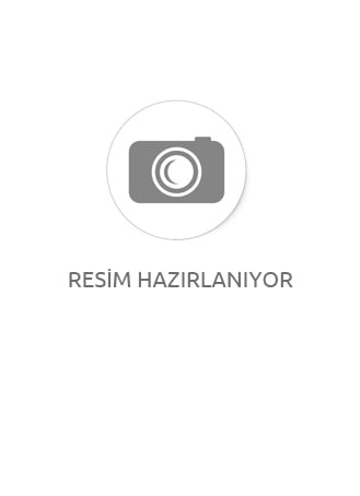 Arslanlı Spatula Paslanmaz No:1